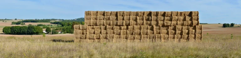 hay bales